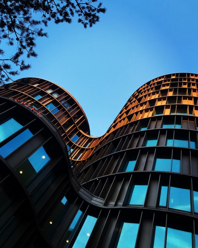 田螺問答 | “種好梧桐樹，引得金鳳來”，聊聊營商環(huán)境那些事兒